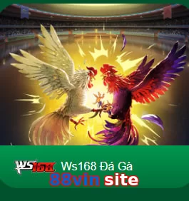 88vin site